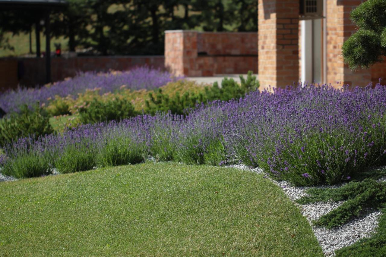 Lavender Inn Guest House Viesvenai Dış mekan fotoğraf
